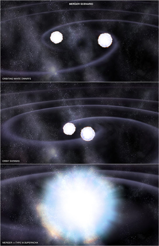 Type-Ia-Supernovae-Stem-from-the-Explosion-of-White-Dwarfs-Coupled-with-Twin-Stars